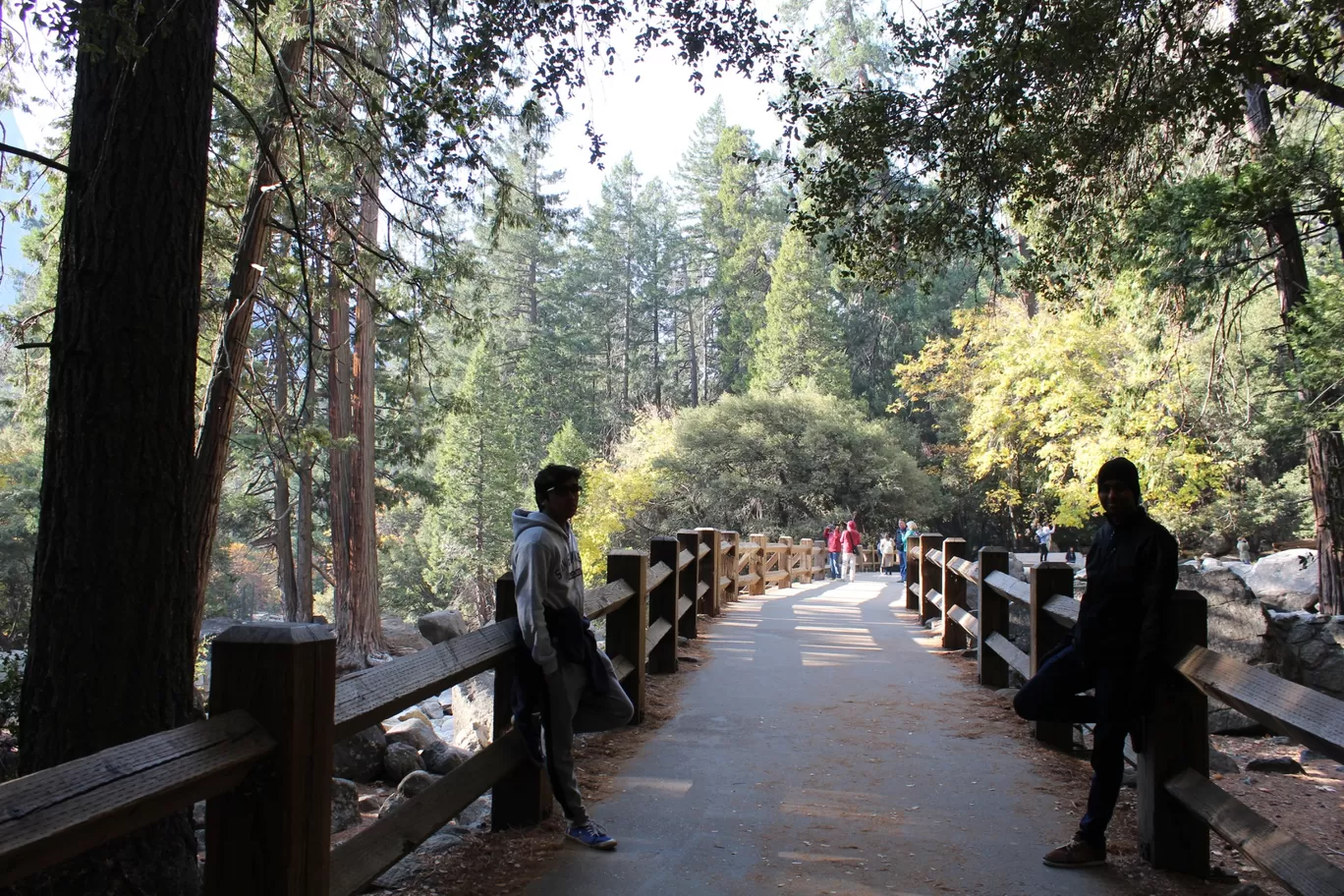 Photo of Yosemite National Park By Ifreed Athani