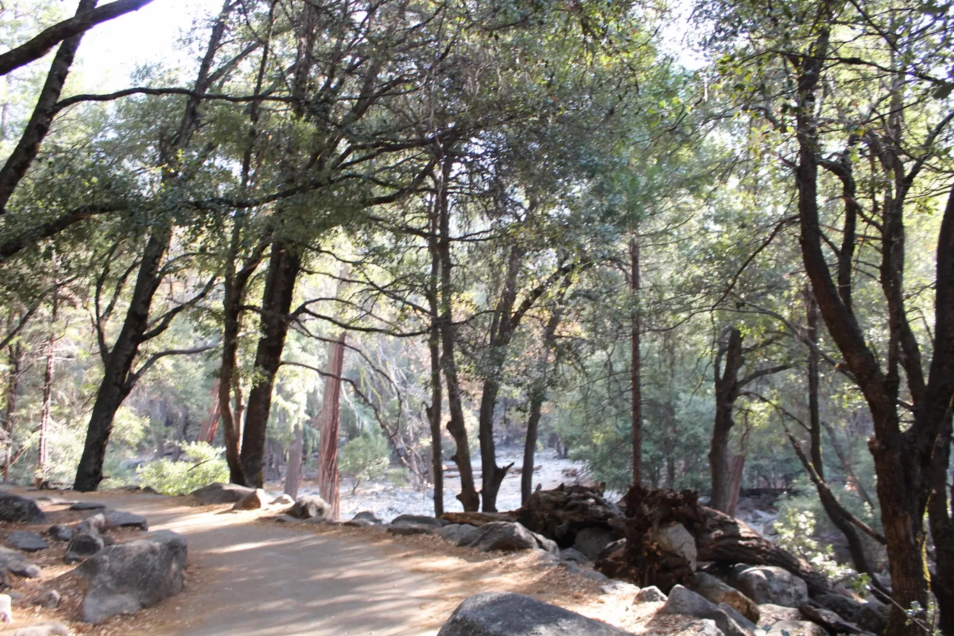 Photo of Yosemite National Park By Ifreed Athani