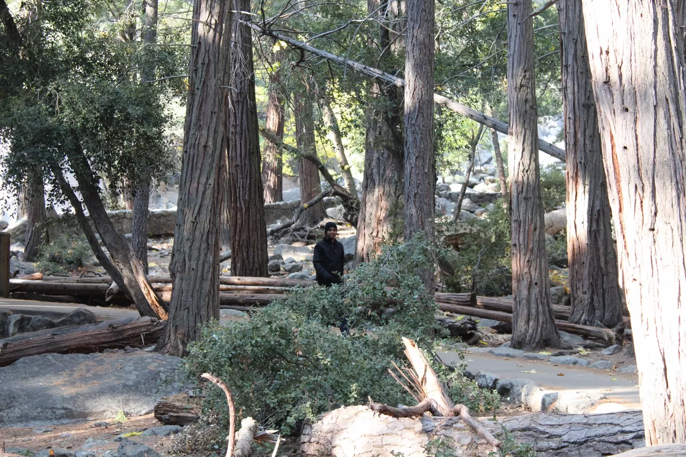 Photo of Yosemite National Park By Ifreed Athani