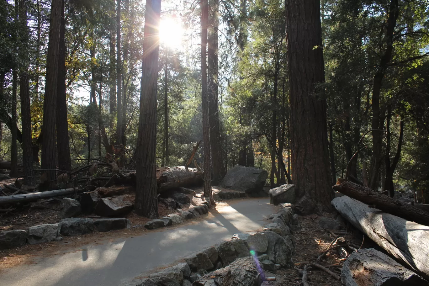Photo of Yosemite National Park By Ifreed Athani