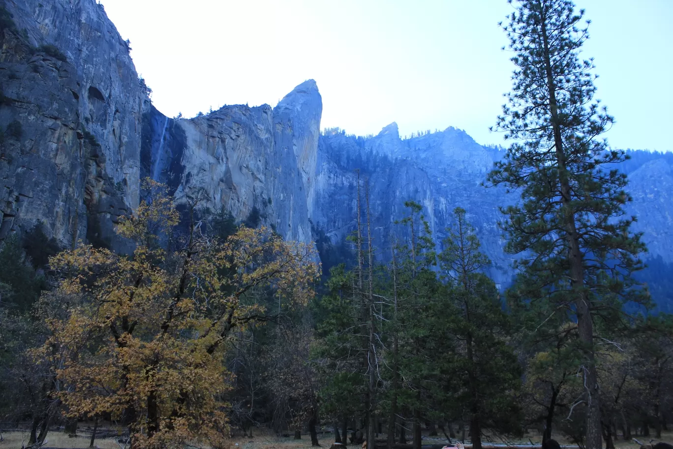 Photo of Yosemite National Park By Ifreed Athani