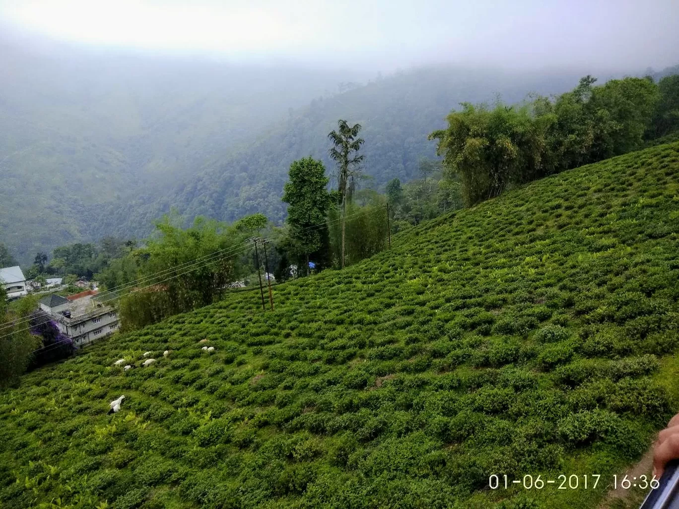 Photo of Darjeeling By Dreams Unlimited