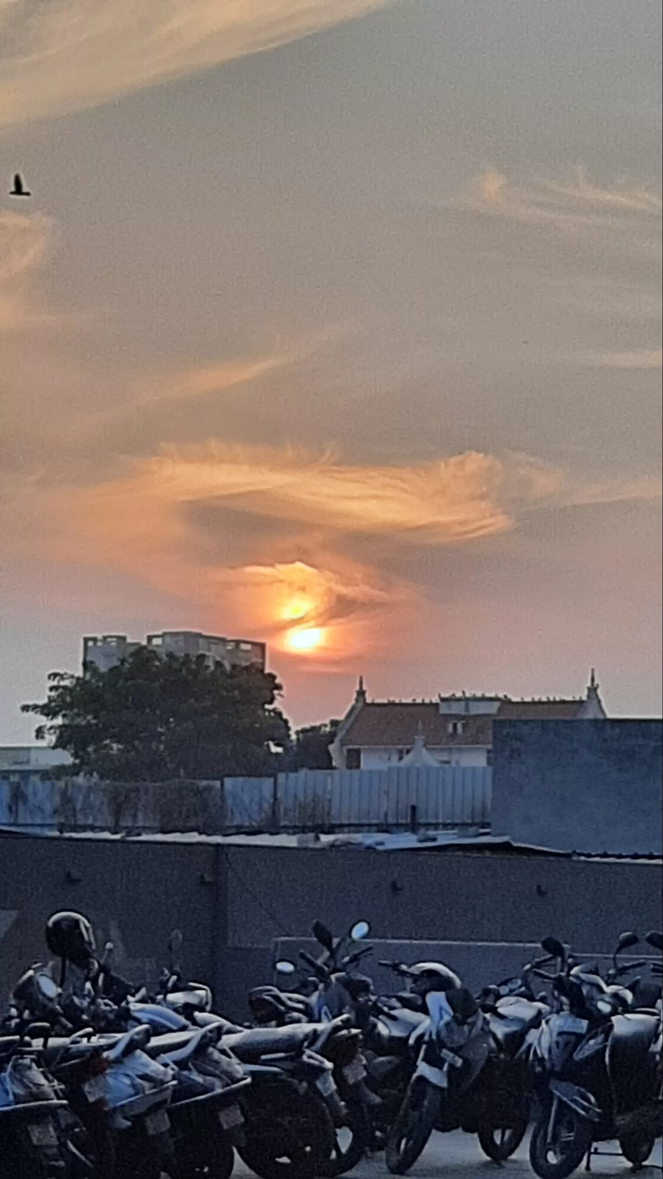 Photo of Shela Road By Jay Purohit