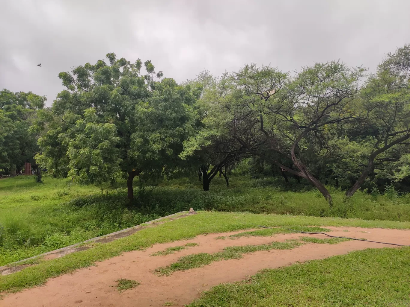 Photo of Qutub Shahi Tombs By manasa shaganti