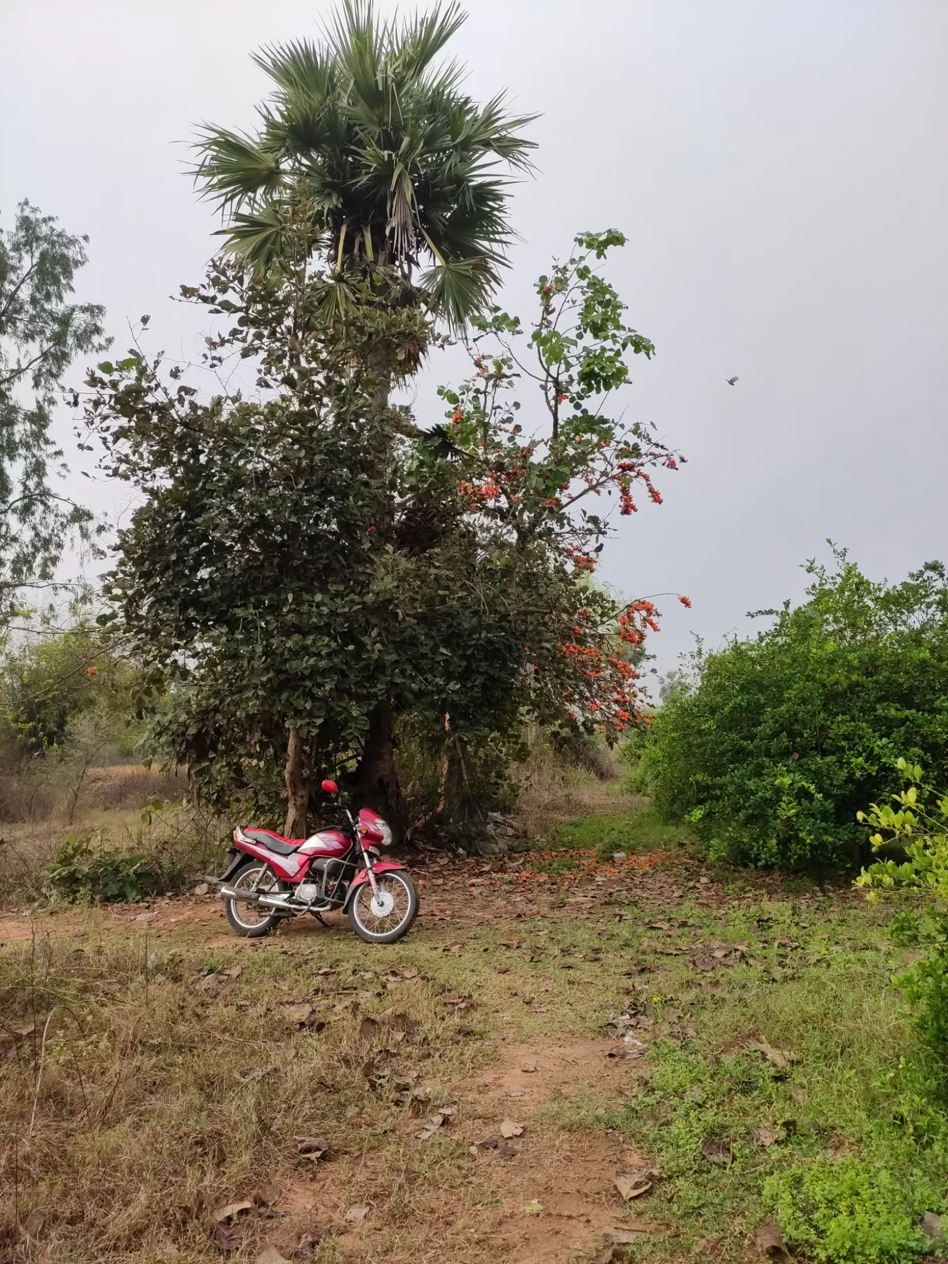 Photo of Tungaturthi By manasa shaganti