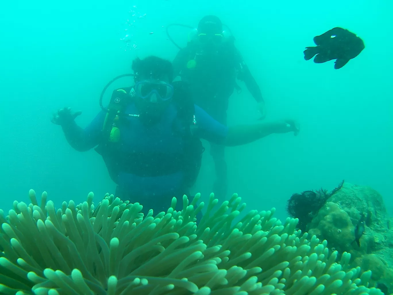 Photo of Andaman and Nicobar Islands By Rahul Nainala
