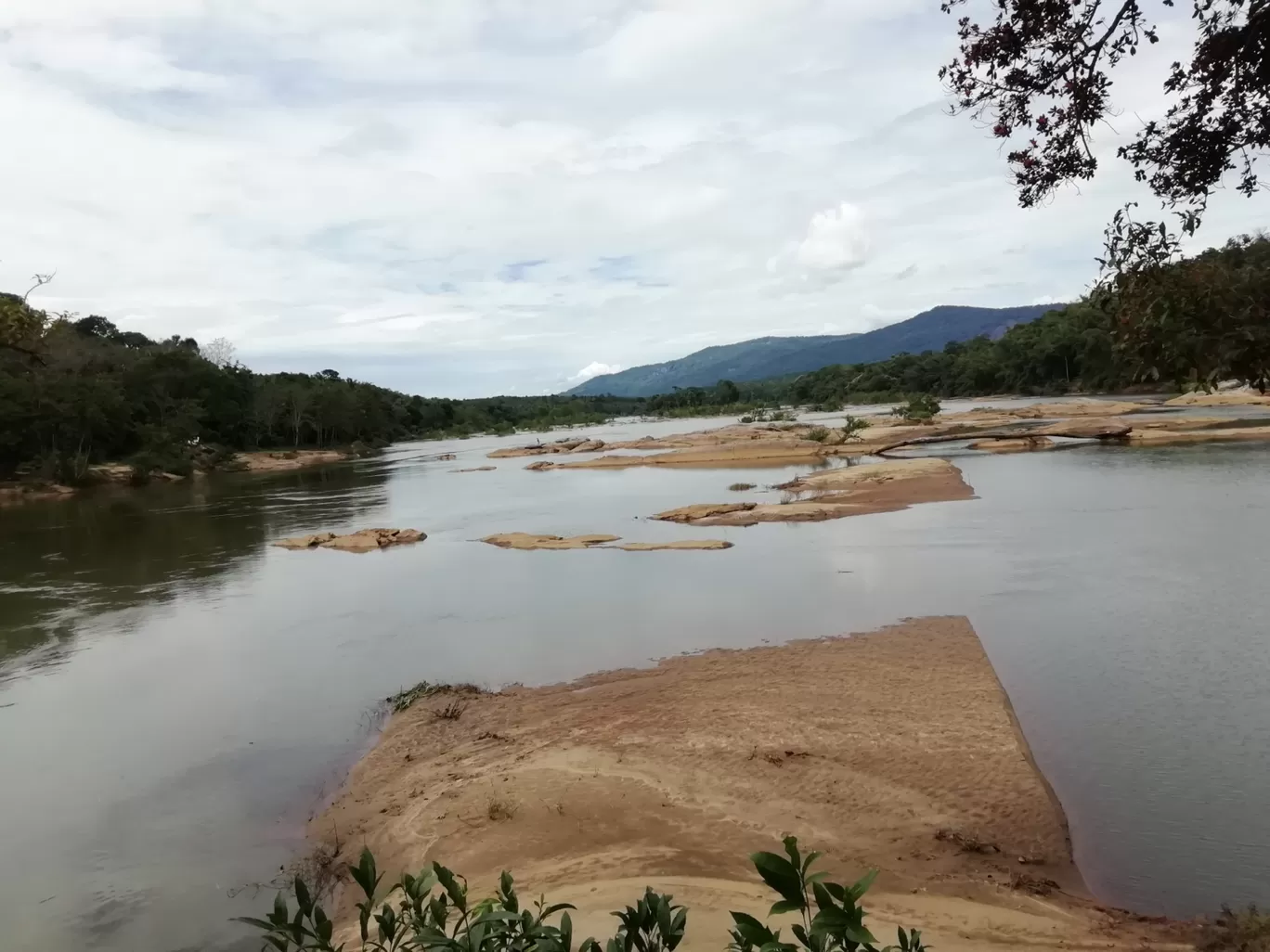 Photo of Bhoothathankettu Dam By Jobins Kj