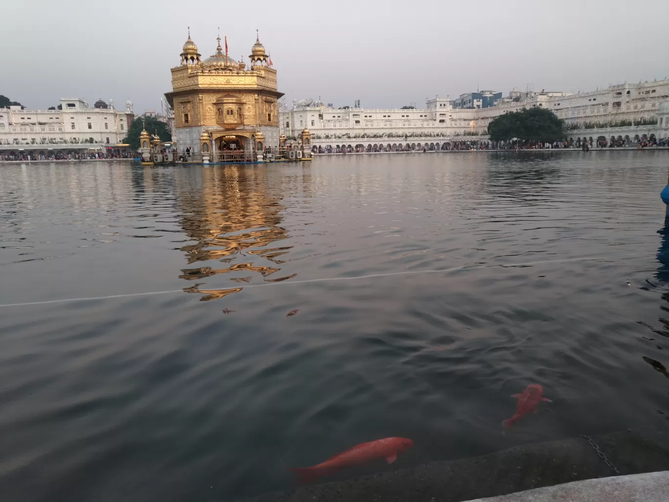 Photo of Amritsar By Vikas Yadav