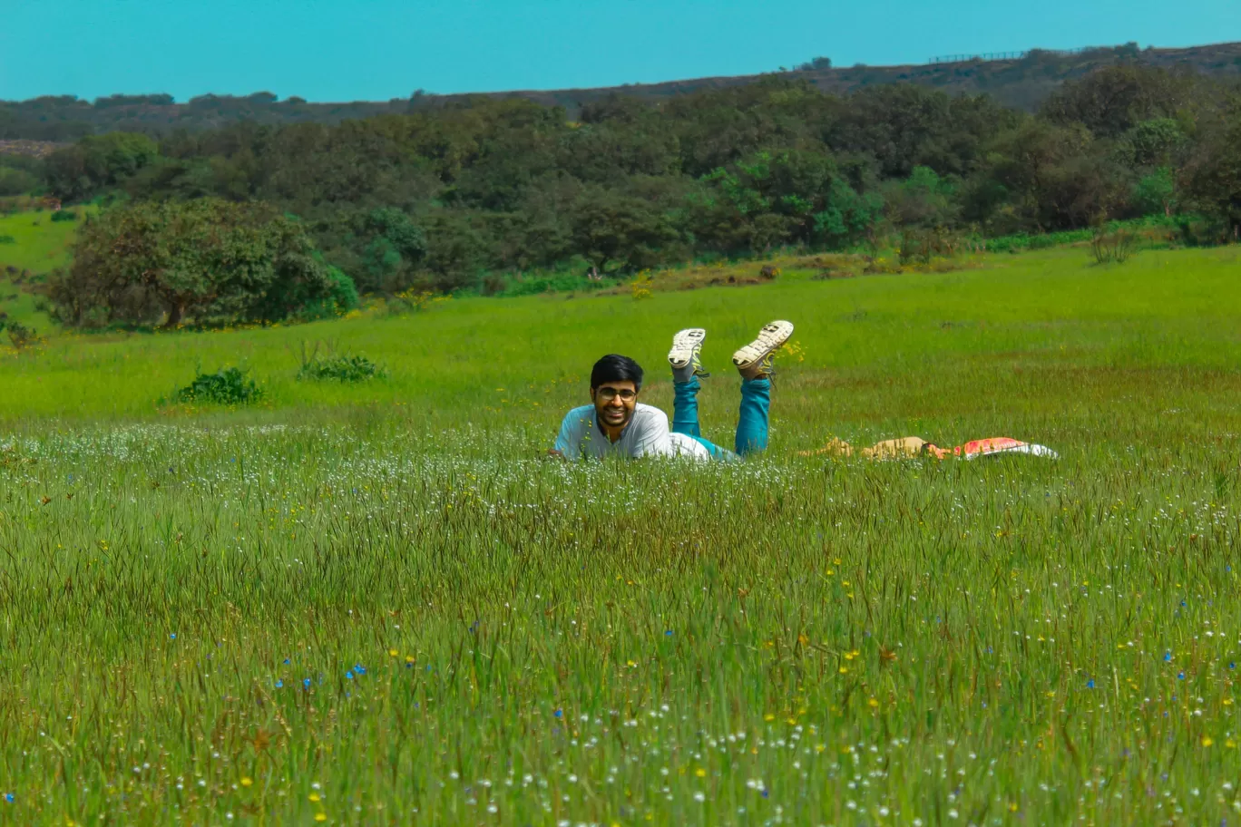 Photo of Kaas Plateau of Flowers By Rushikesh