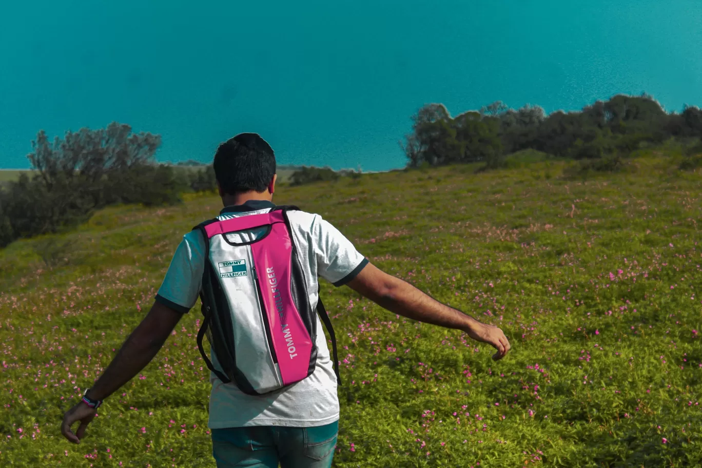 Photo of Kaas Plateau of Flowers By Rushikesh