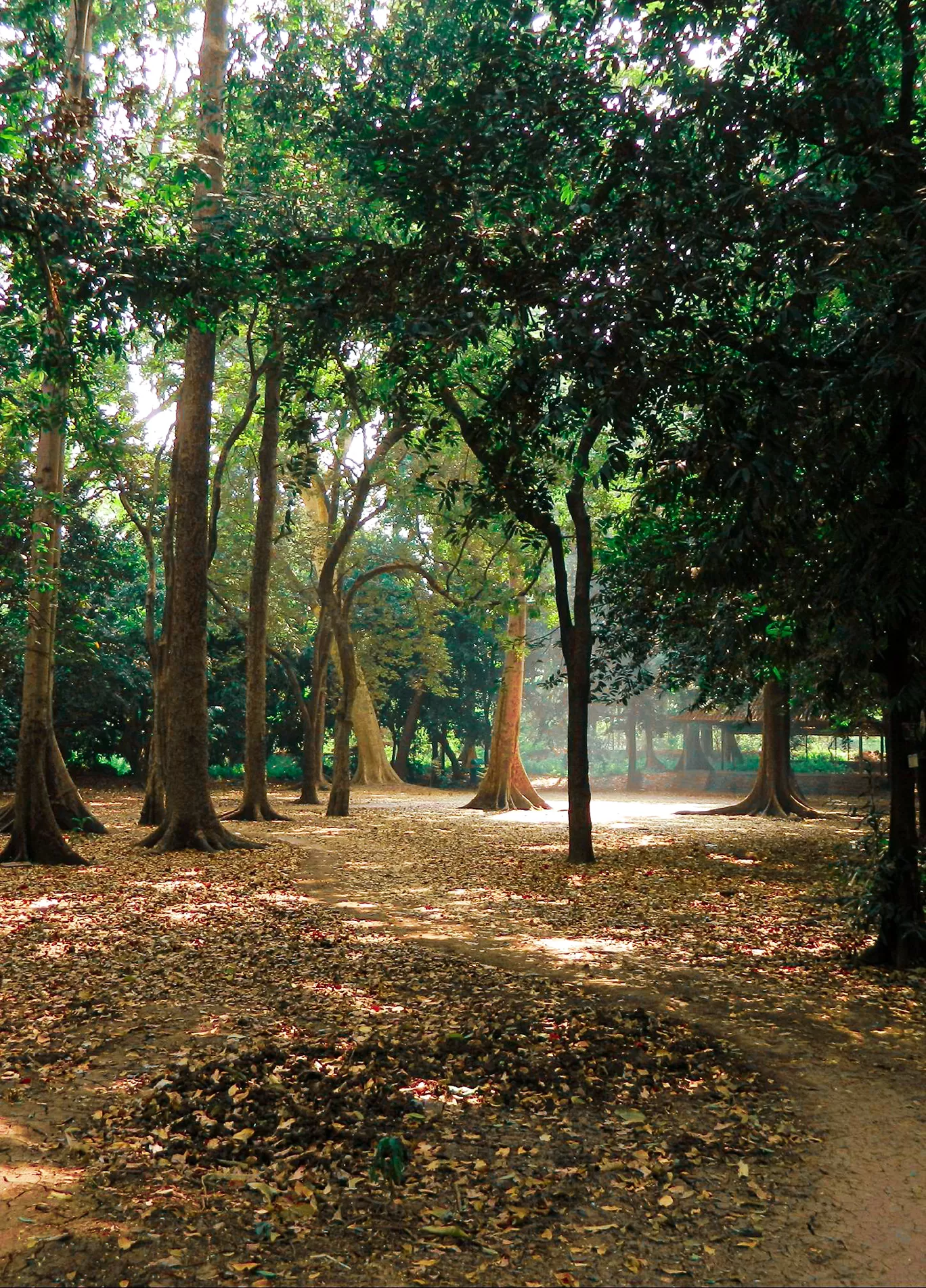 Photo of Alibag By Rushikesh