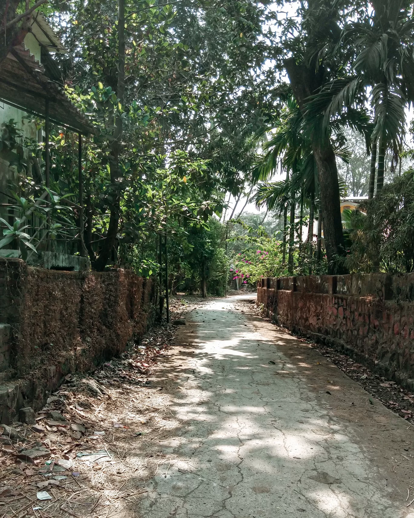 Photo of Alibag By Rushikesh