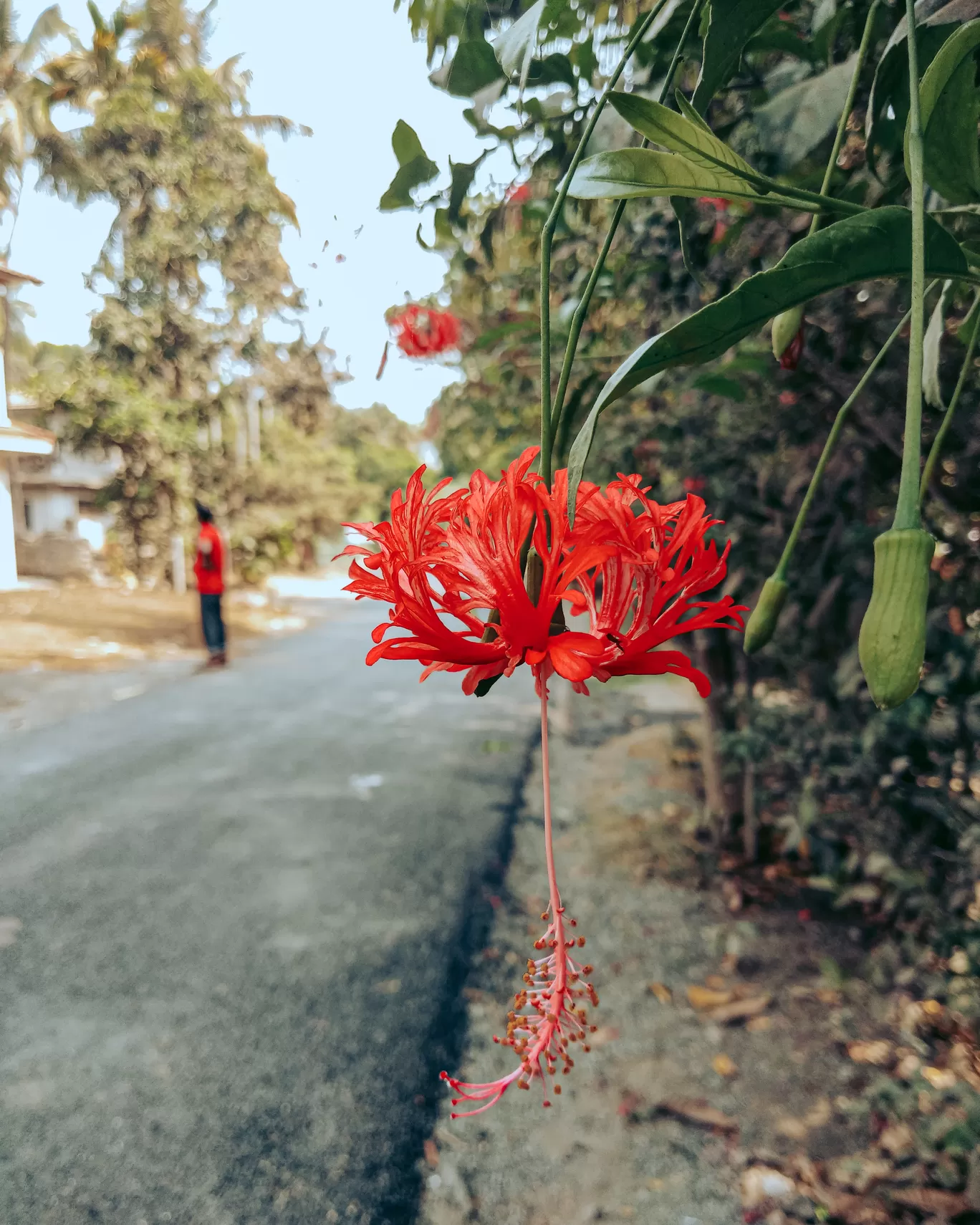 Photo of Alibag By Rushikesh