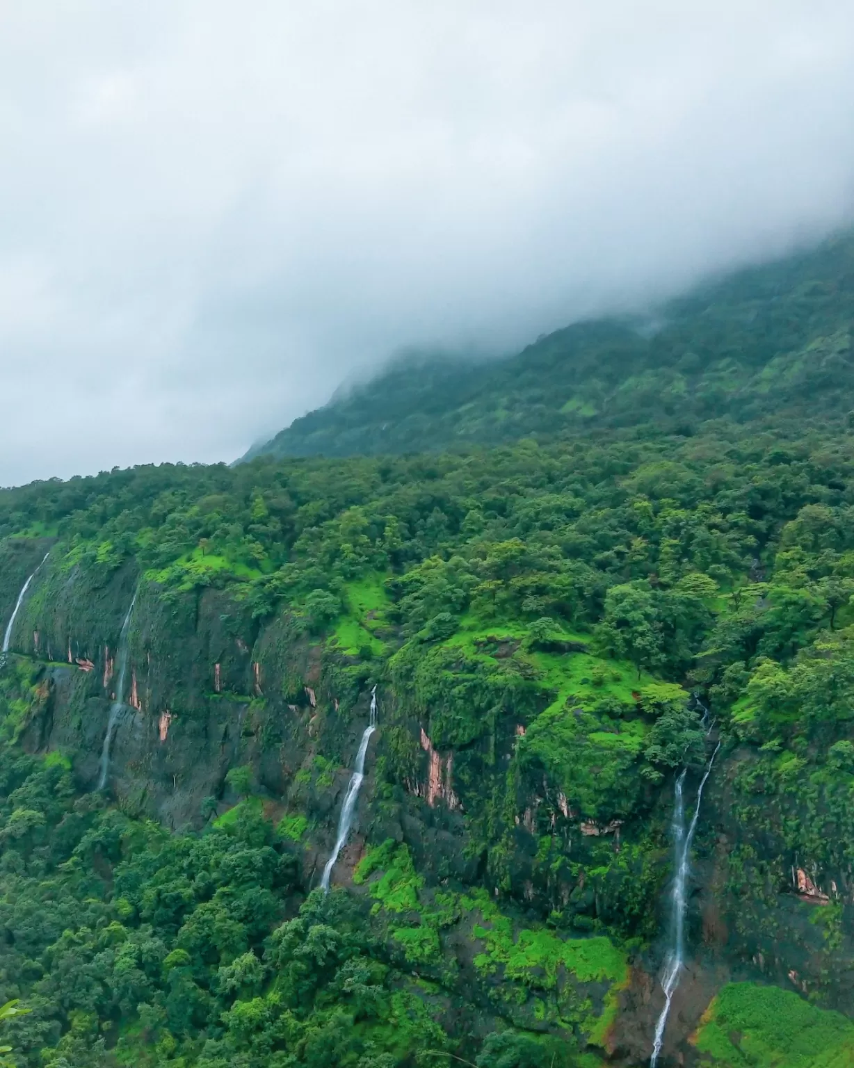 Photo of Bhimashankar Trek By Rushikesh