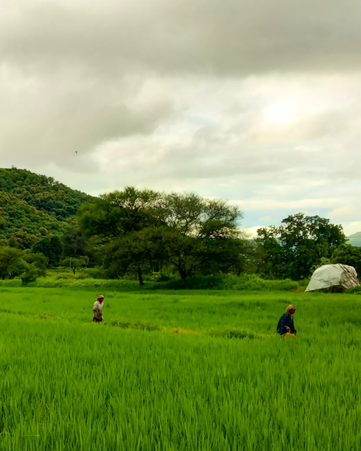 Photo of Ghodegaon By Rushikesh