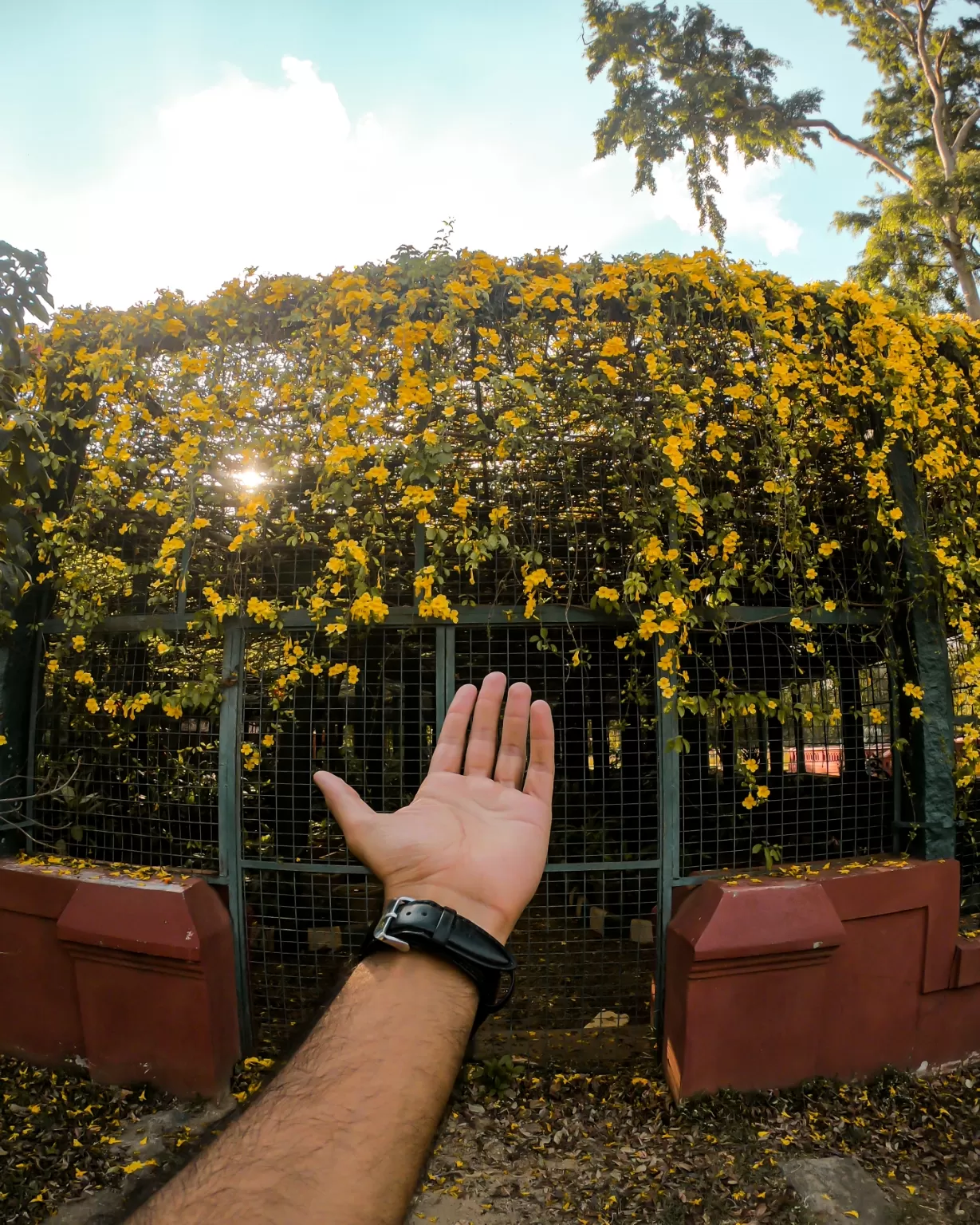 Photo of Lalbagh Botanical Garden By Rushikesh