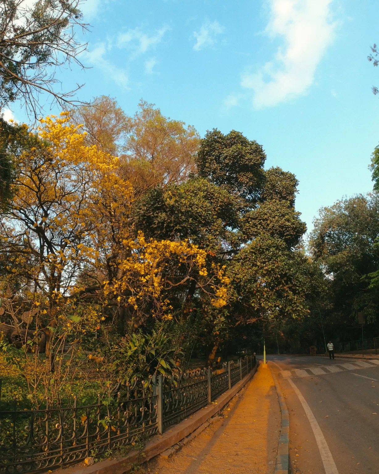 Photo of Lalbagh Botanical Garden By Rushikesh