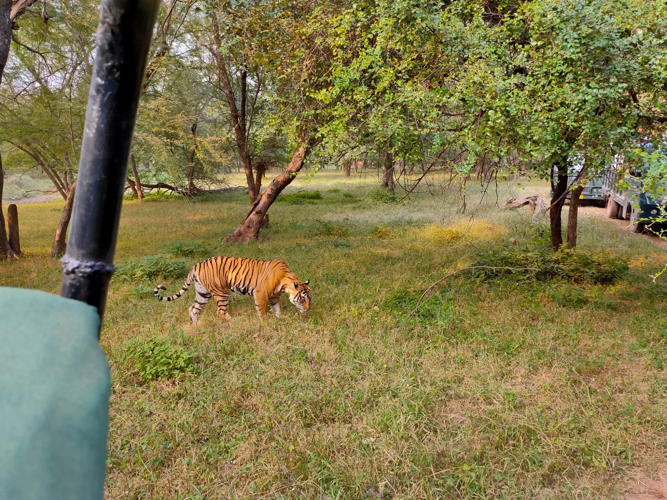 Photo of Ranthambore National Park By Tarun Dugar