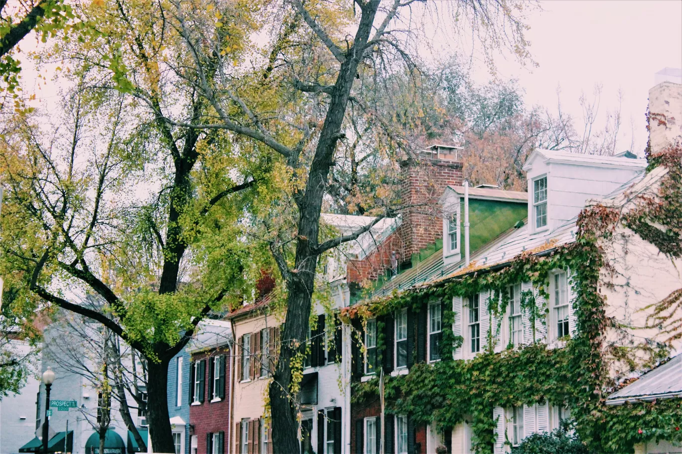 Photo of Georgetown By Em Degn