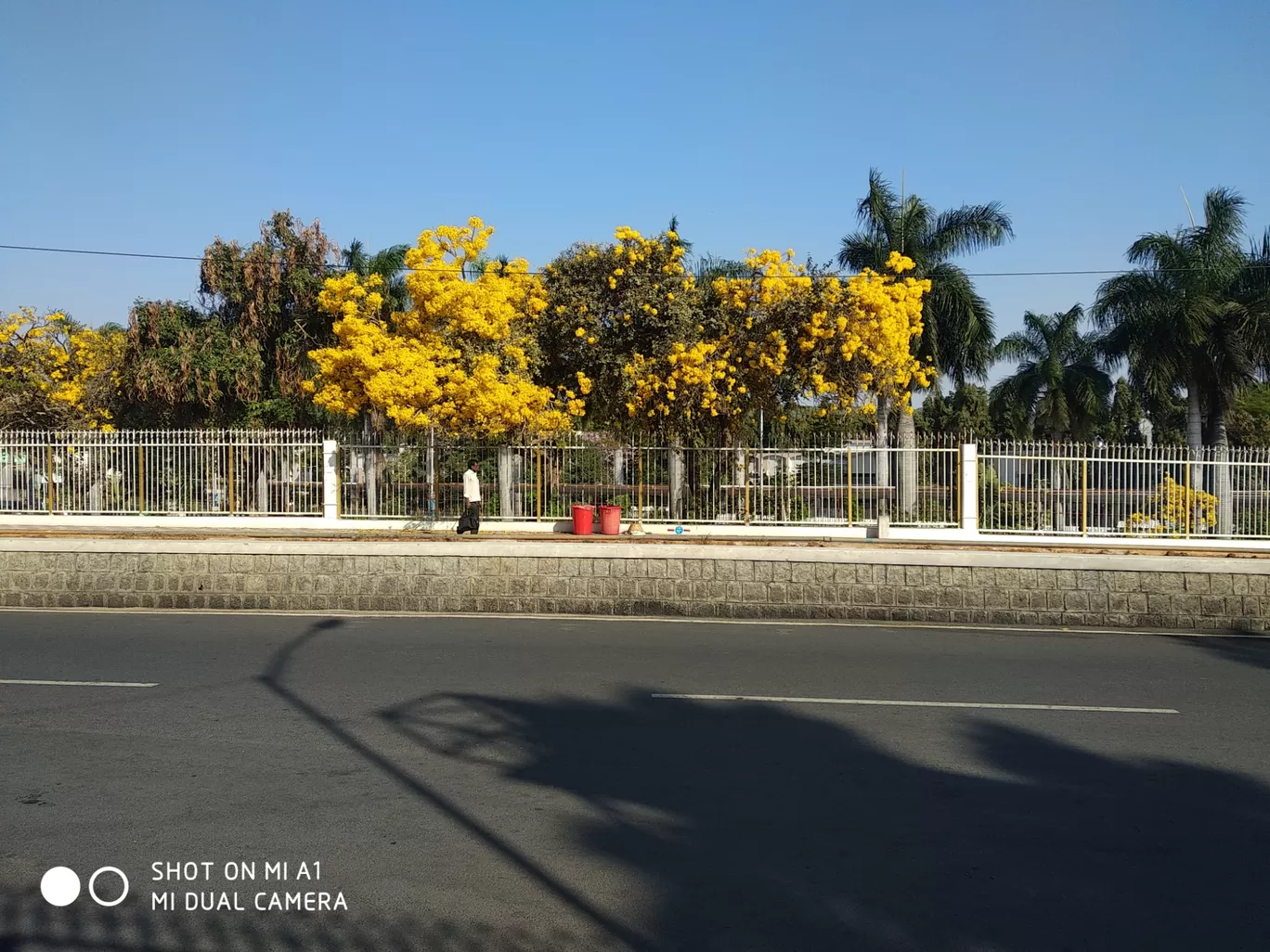 Photo of Tirumala By saurav agrawal