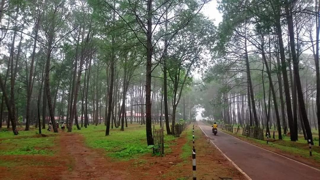 Photo of Netarhat School Road By arunava das