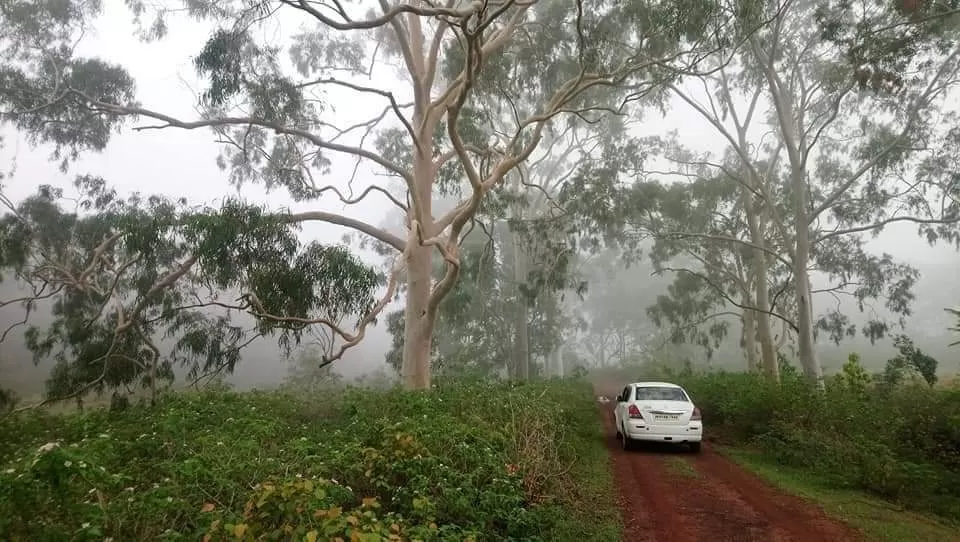 Photo of Netarhat School Road By arunava das