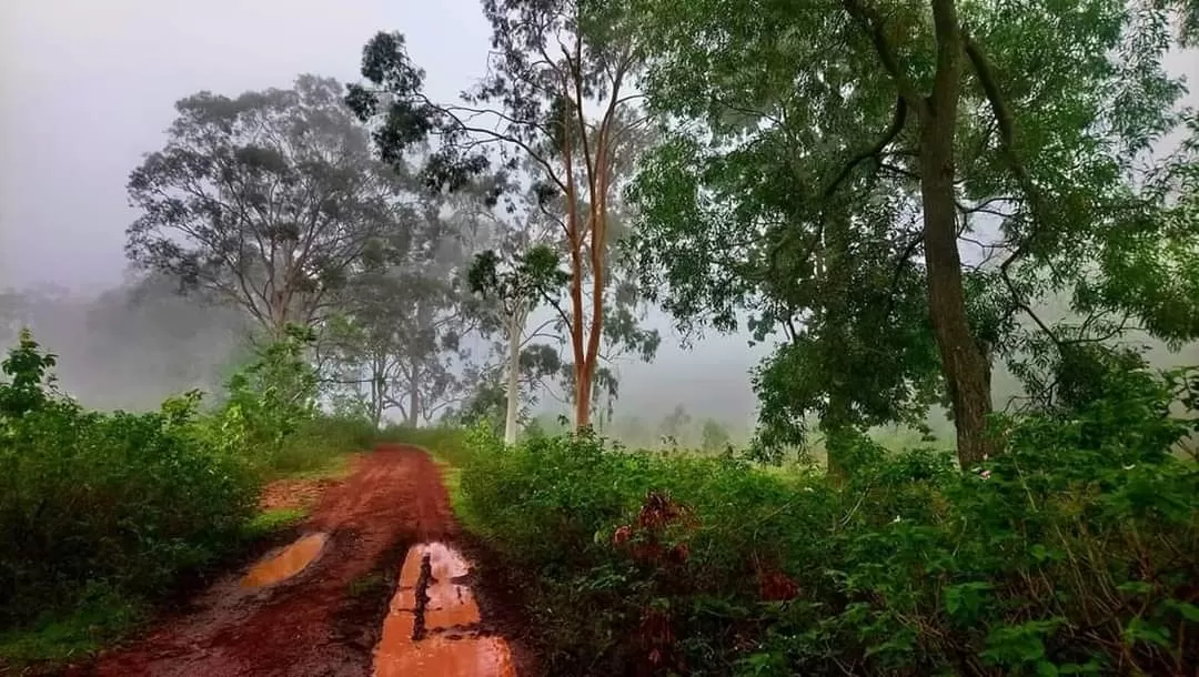 Photo of Netarhat School Road By arunava das