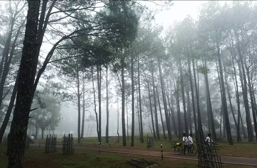 Photo of Netarhat School Road By arunava das