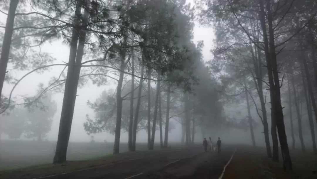Photo of Netarhat School Road By arunava das