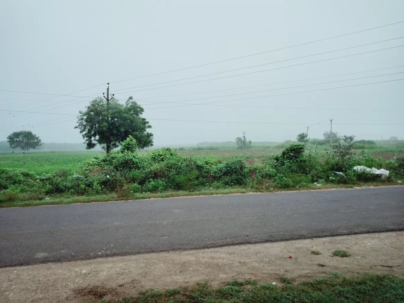 Photo of Addanki South U By Sunodh RadhaSrinu