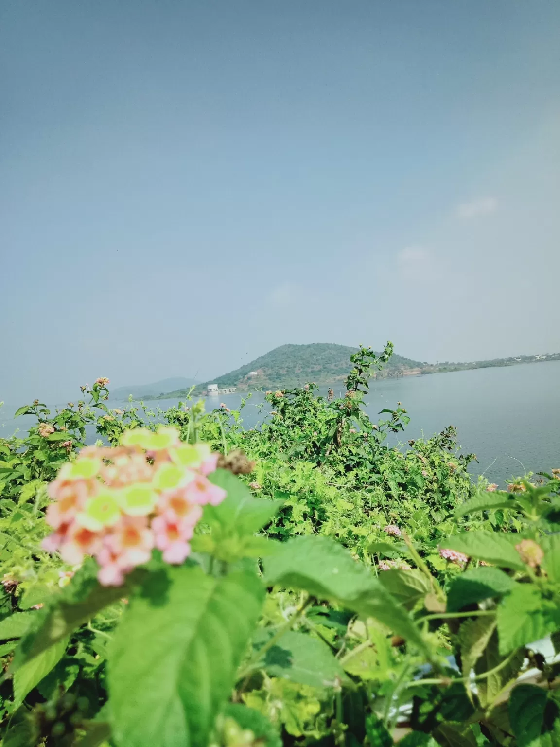 Photo of Mallavaram Dam- Gundlakamma River By Sunodh RadhaSrinu