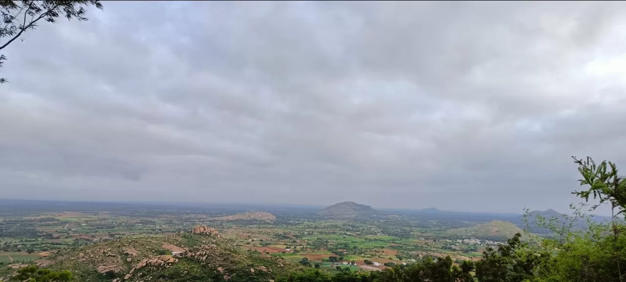 Photo of Kaiwara By Sunodh RadhaSrinu