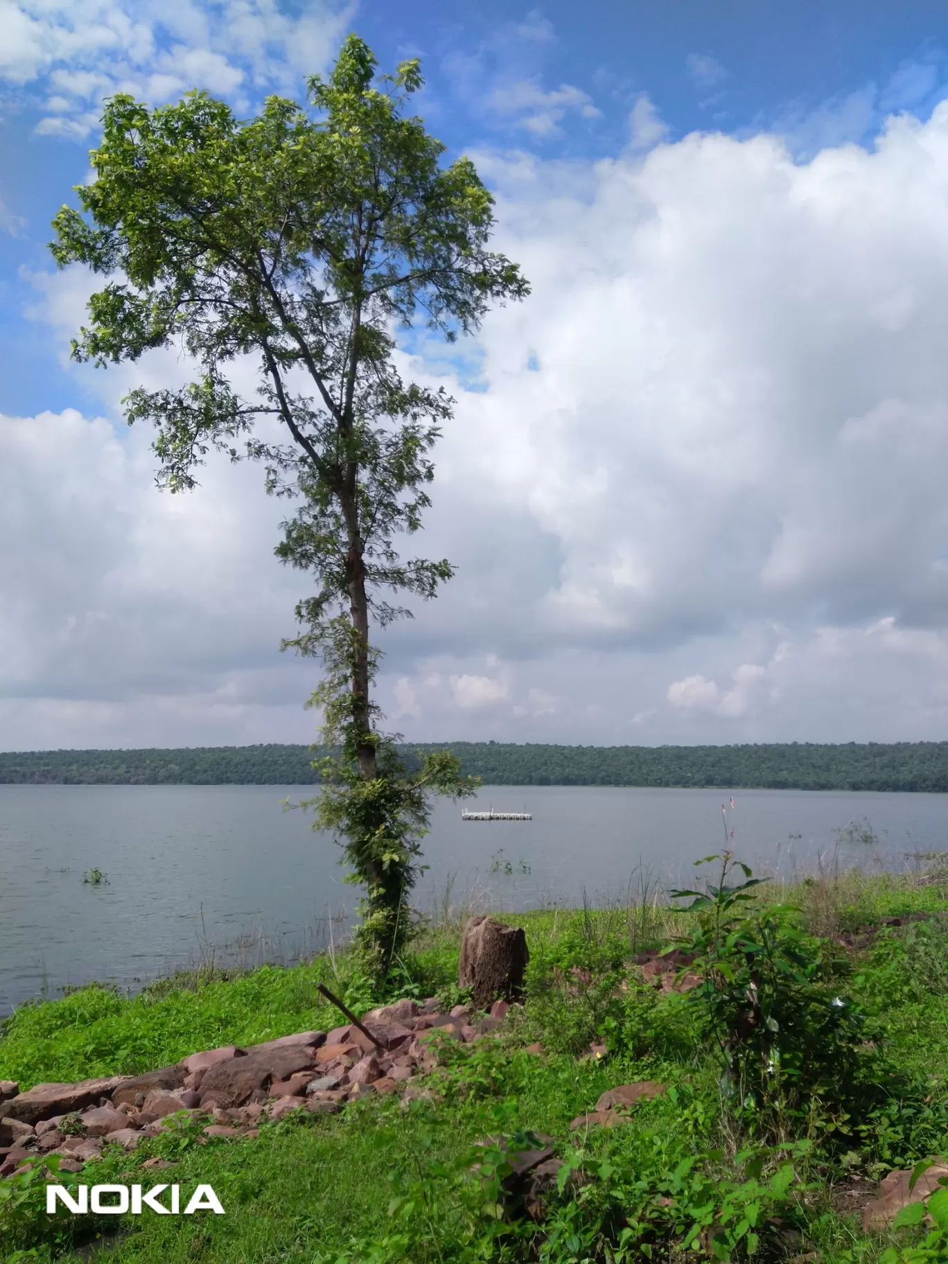 Photo of Ratapani Wildlife Sanctuary By Rahul Singh