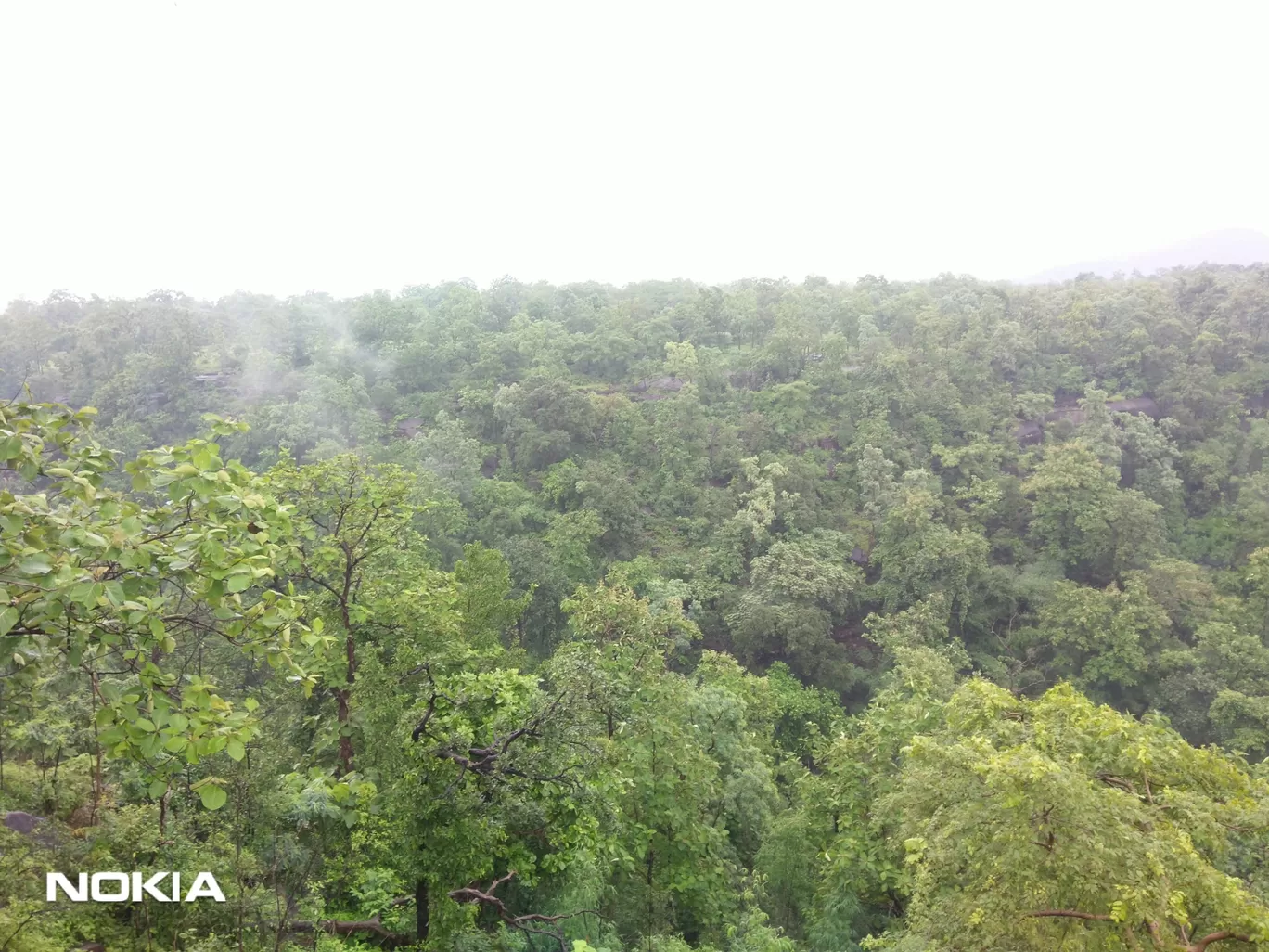 Photo of Ratapani Wildlife Sanctuary By Rahul Singh