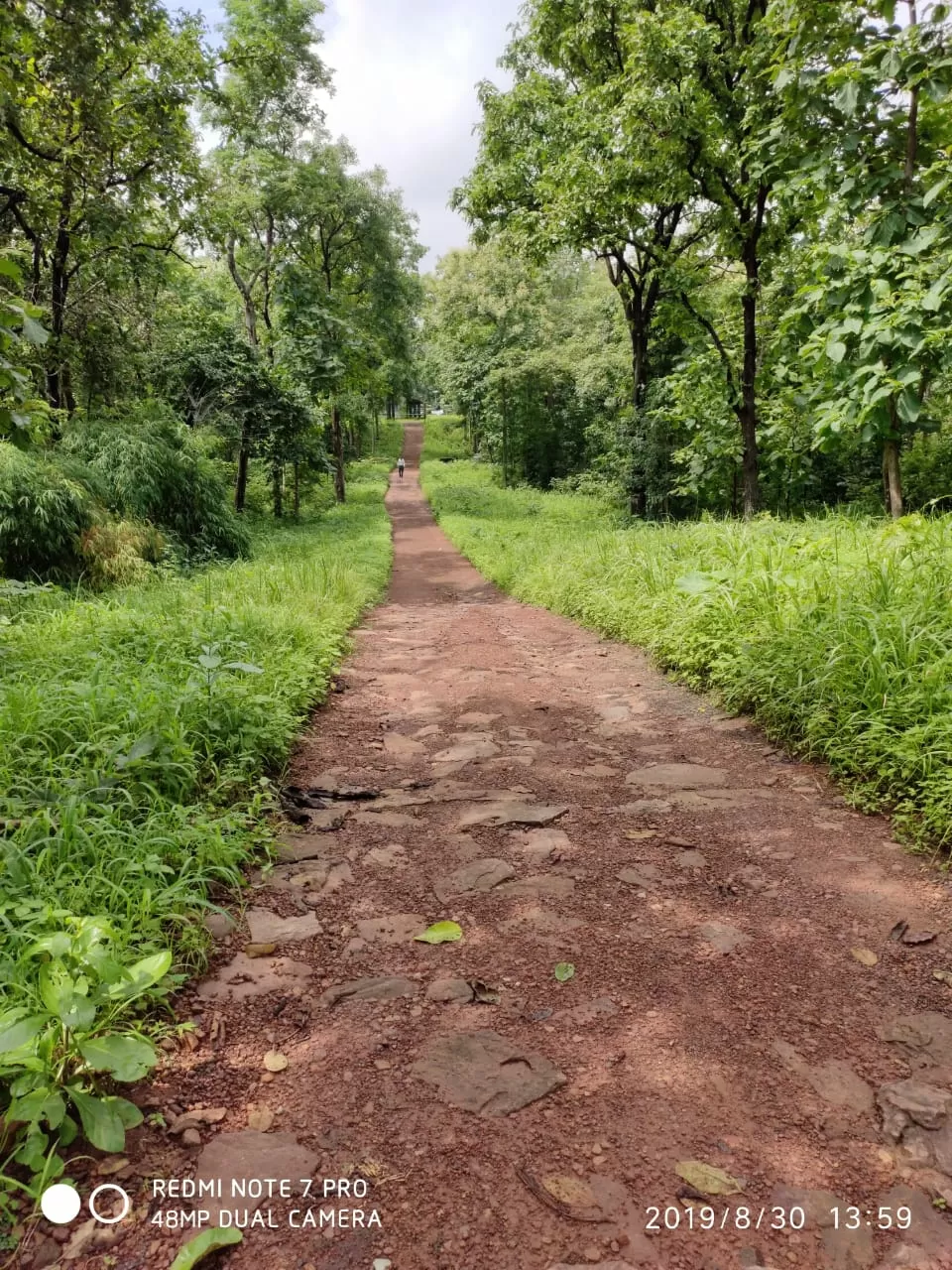 Photo of Ratapani Wildlife Sanctuary By Rahul Singh