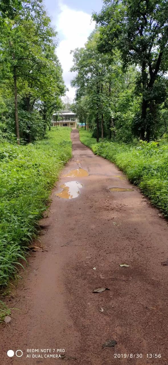 Photo of Ratapani Wildlife Sanctuary By Rahul Singh