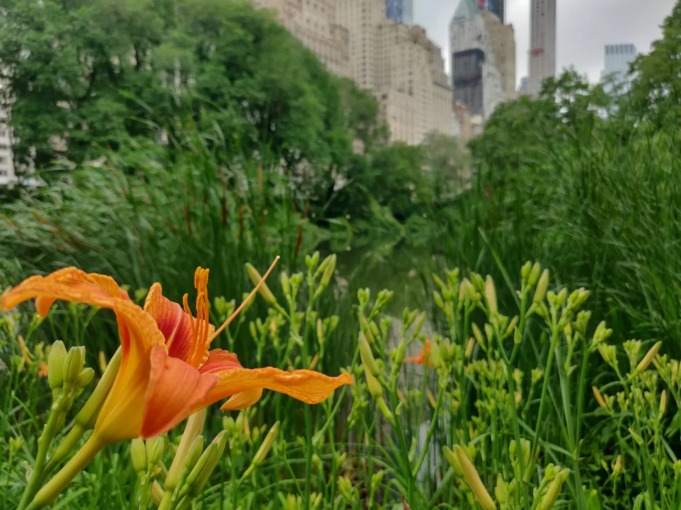 Photo of New York By sonam tayde