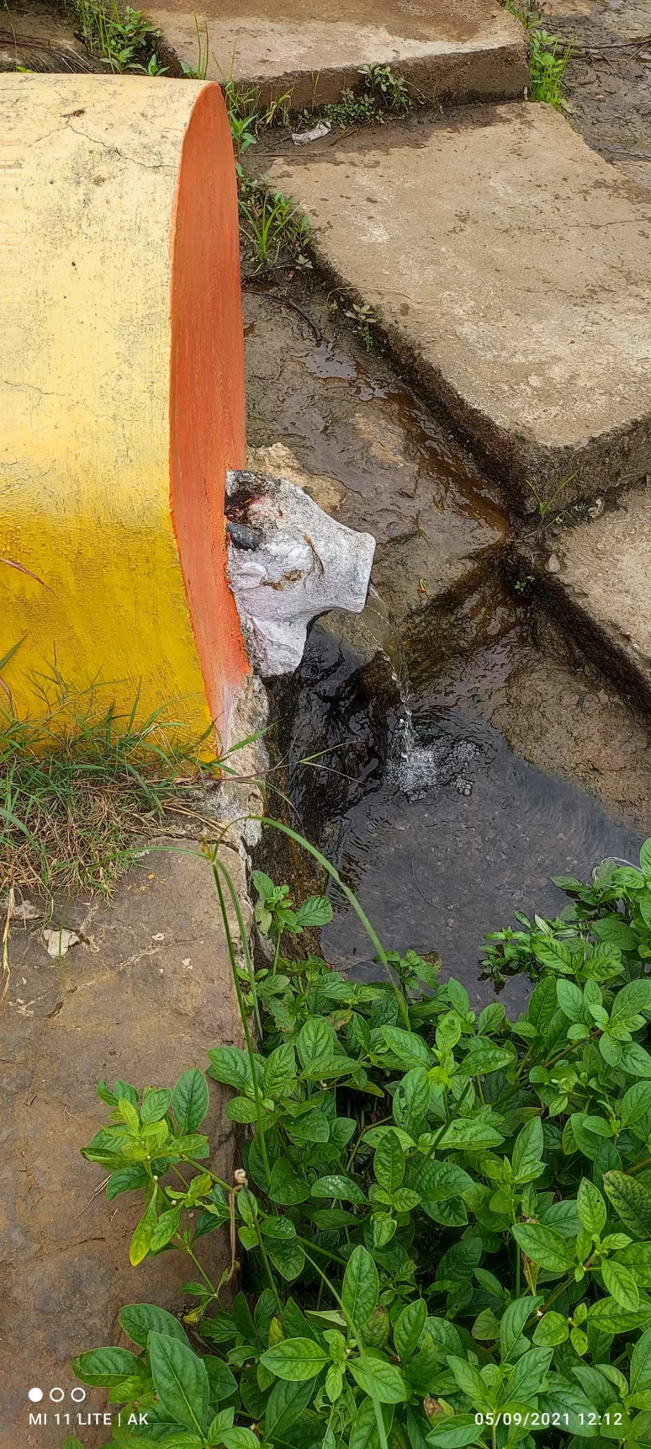 Photo of Mayadevi Temple
