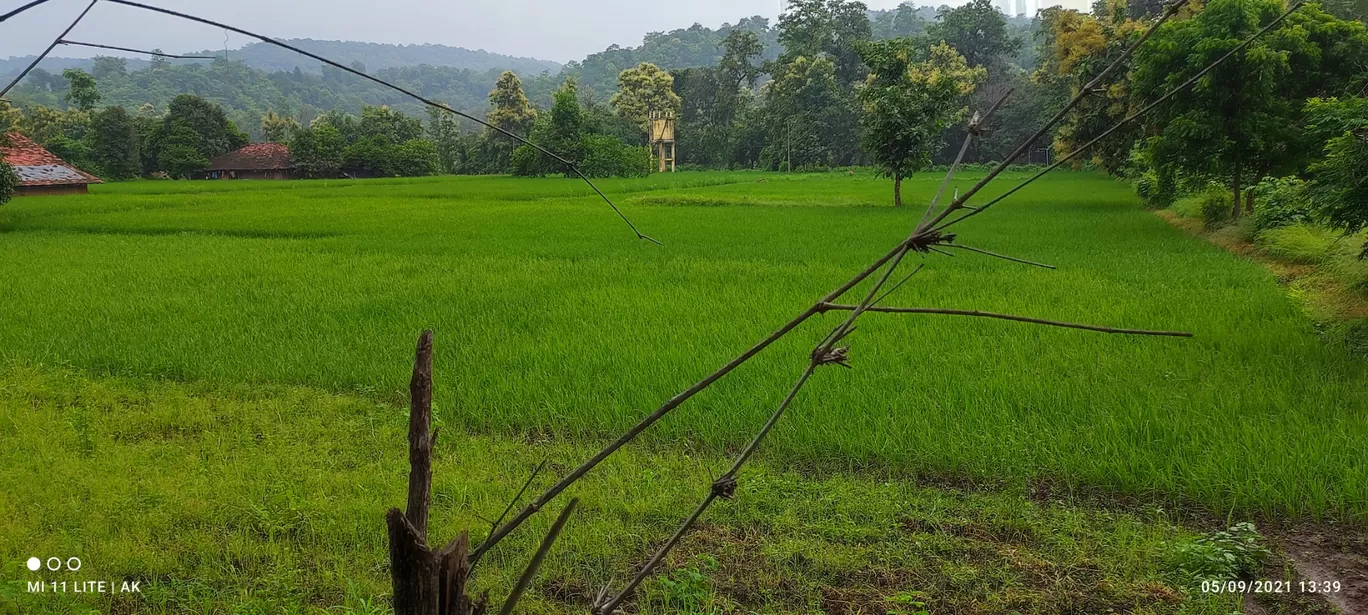 Photo of Mayadevi Temple