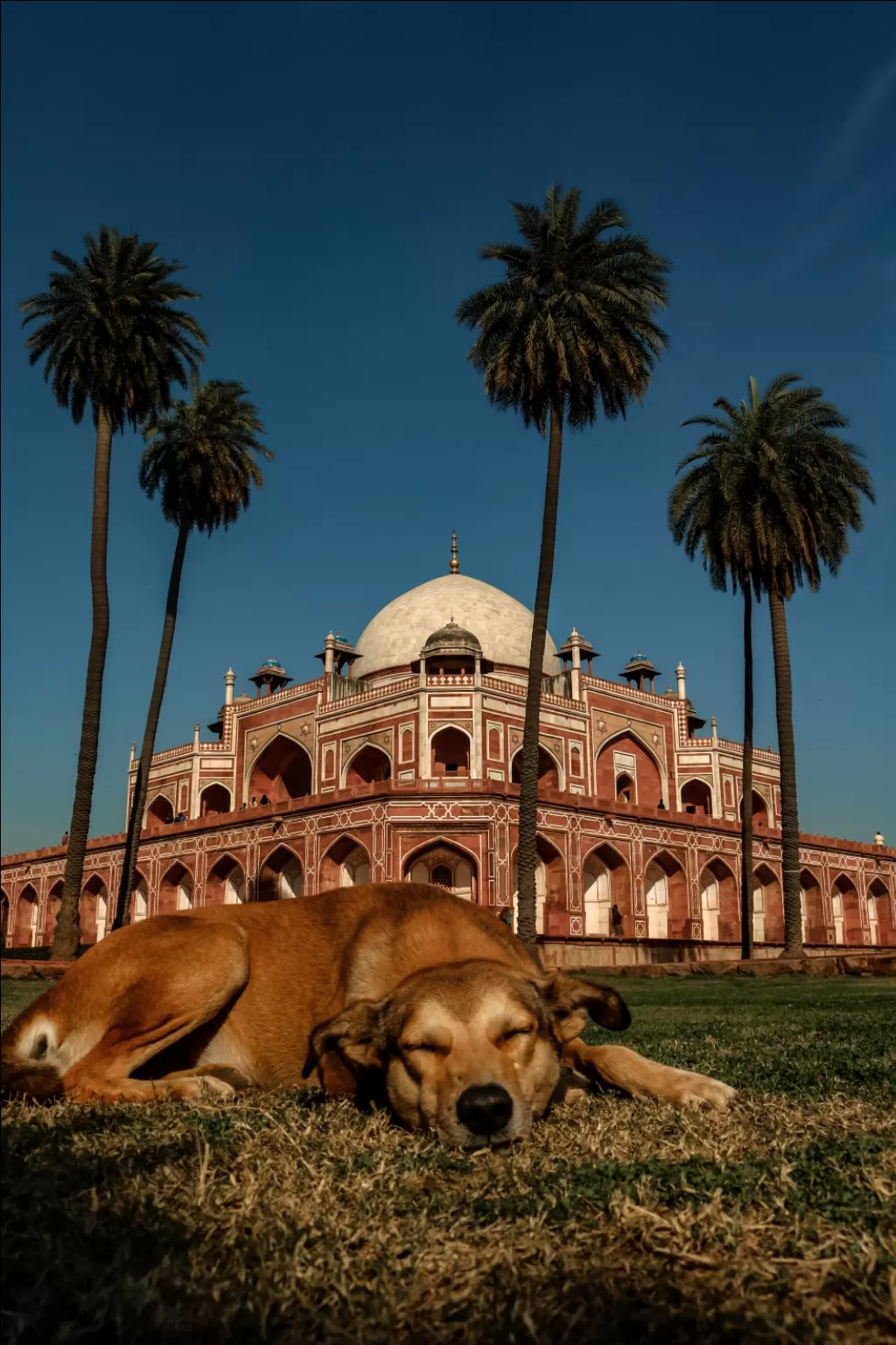 Photo of Delhi By Siddharth Singh