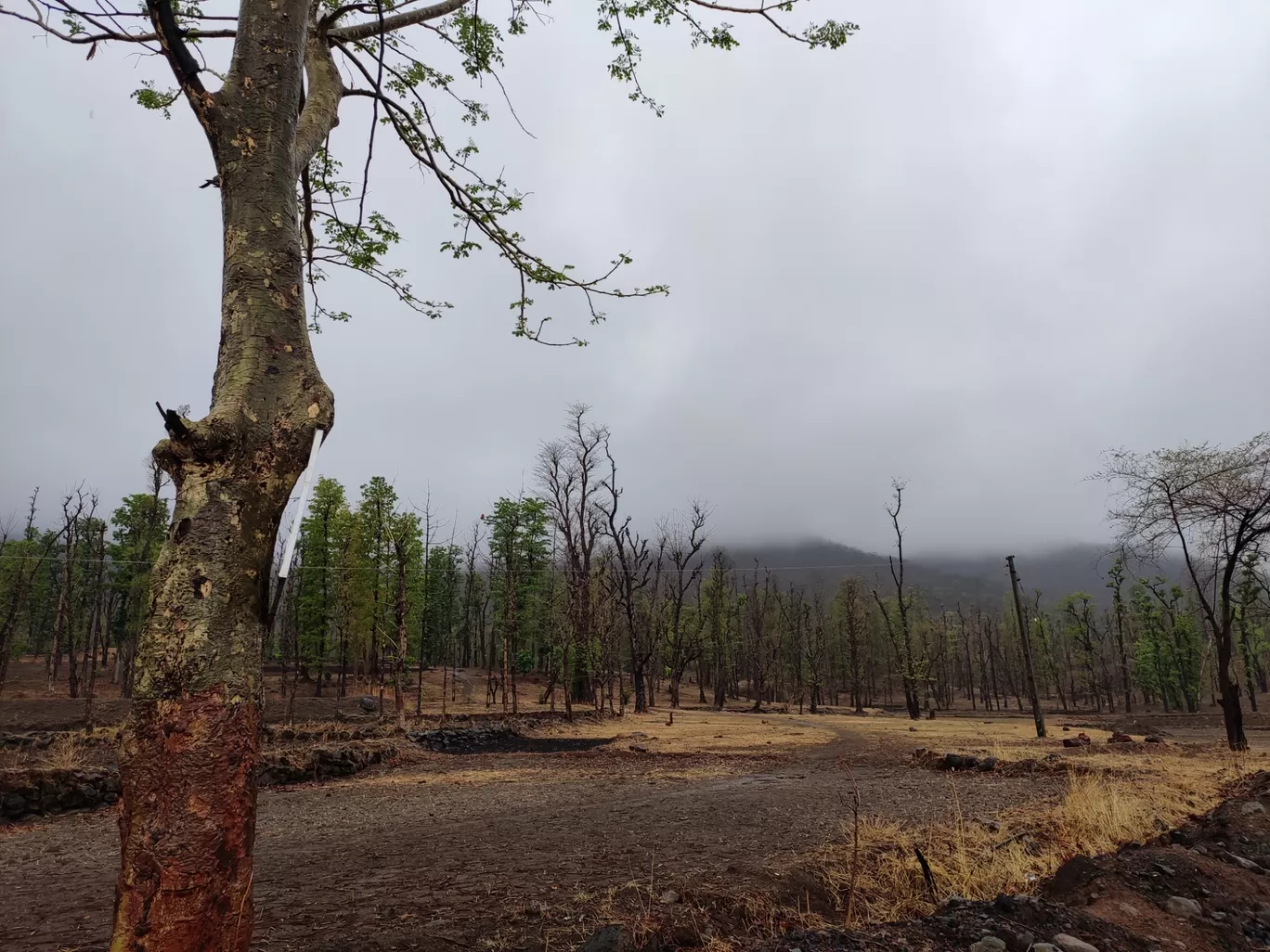 Photo of Saputara Hill Station By Abhishek.Chhazed