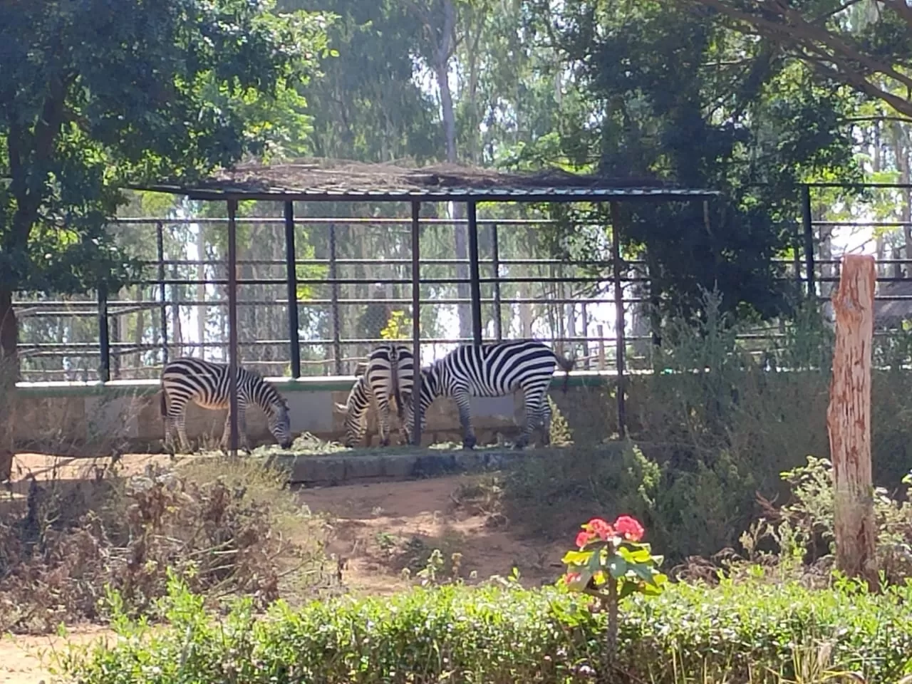 Photo of Bangalore By Abhishek.Chhazed