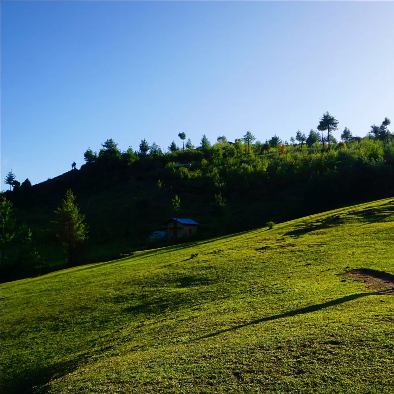 Photo of Sainj By ASHEESH SHARMA