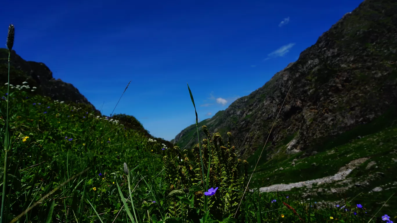 Photo of Sainj Road By ASHEESH SHARMA