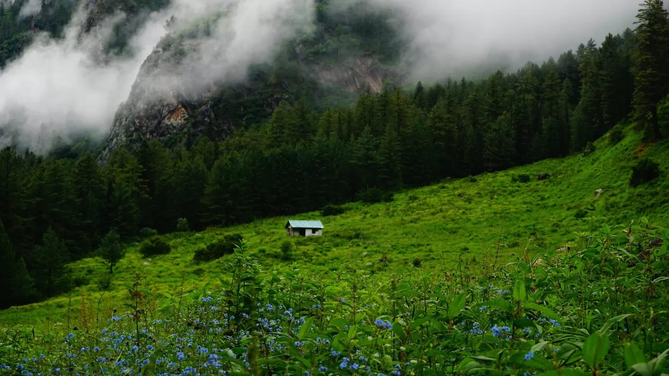 Photo of Sainj Road By ASHEESH SHARMA