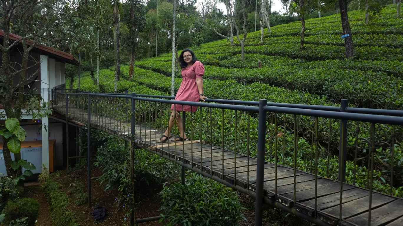 Photo of Tea Terrace Vythiri By Karuna Akurathi 🇮🇳