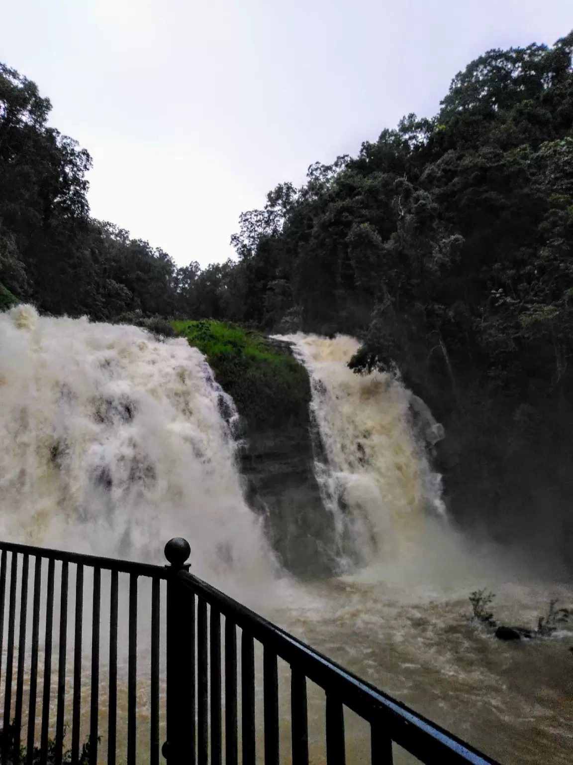 Photo of Abbi Falls By CHAMPA MAHESH M