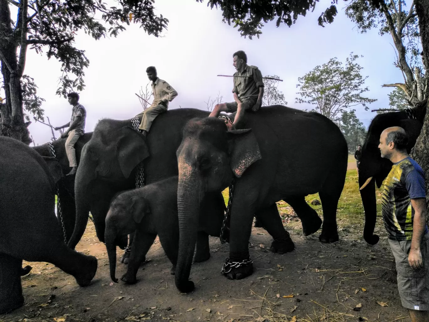 Photo of Sakrebyle By CHAMPA MAHESH M