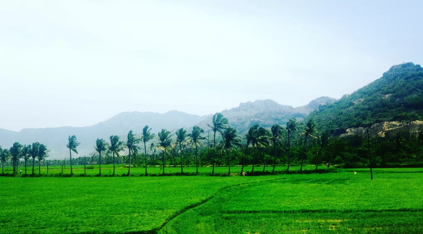 Photo of Kerala By শুভজিত ভট্টাচার্য
