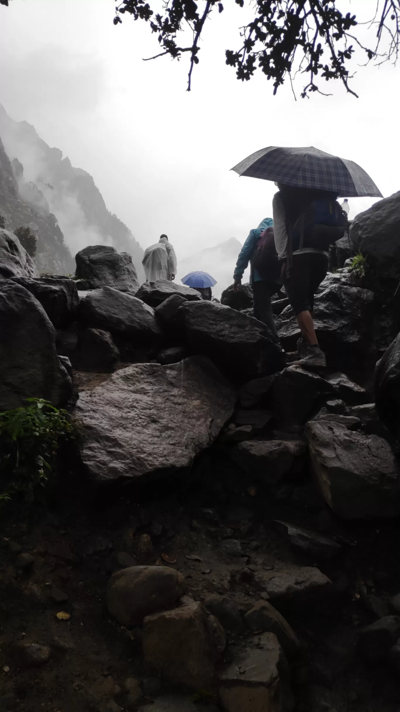 Photo of Hampta Pass Trek Camp Himalayan Mountain Sojourns By Saheelkhan 